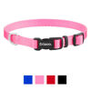 Picture of 5560 - Pet Collar (Small) 1.0 x 20-30 cm