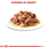 Picture of **Digestive Sensitive in Gravy