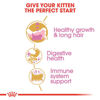 Picture of ROYAL CANIN Feline Breed Nutrition Persian Kitten