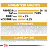 Picture of ROYAL CANIN Feline Breed Nutrition Persian Kitten