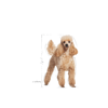 Picture of ROYAL CANIN Adult Poodle-wet