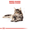 Picture of royal canin maine coon kitten 2kg  - Maine Coon Adult 