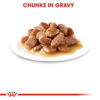 Picture of ROYAL CANIN Hairball Care Gravy