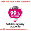 Picture of ROYAL CANIN Care Nutrition Mini Exigent