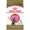 Picture of ROYAL CANIN Feline Breed Nutrition Maine Coon Kitten