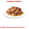 Picture of ROYAL CANIN Instinctive Gravy