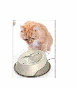 Picture of Trevi - automatic pet fountain lt. 2,00 with filter + tray with anti-slip