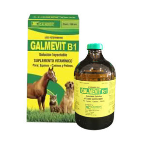 Picture of GALMEViT - Vitamin B1 Supplement