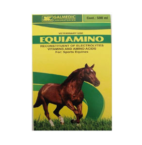 Picture of Equiamino