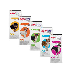 Picture of **Bravecto Chews for Dogs 10-20 KG
