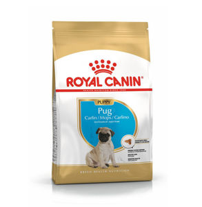 Picture of ROYAL CANIN Breed Health Nutrition Pug Puppy