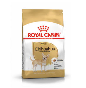 Picture of Chihuahua 1.5KG