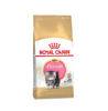 Picture of ROYAL CANIN Feline Breed Nutrition Persian Kitten