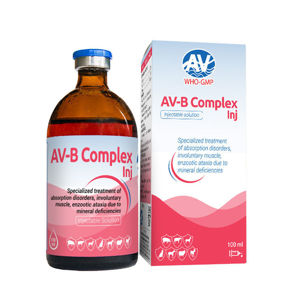 Picture of AV-B COMPLEX INJ.