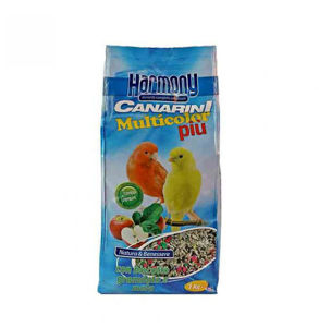 Picture of Harmony Canary Multicolor With Cookies & Apple