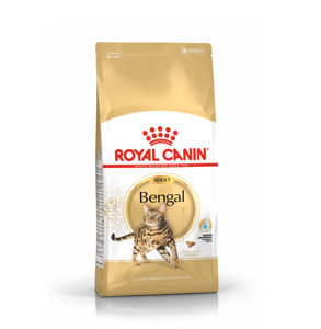 Picture of Bengal Adult-ROYAL CANIN