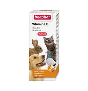 Picture of BEAPHAR Vitamin B Complex Coat + Skin