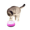 Picture of All for Paws Cat Love Bowl PINK SMALL