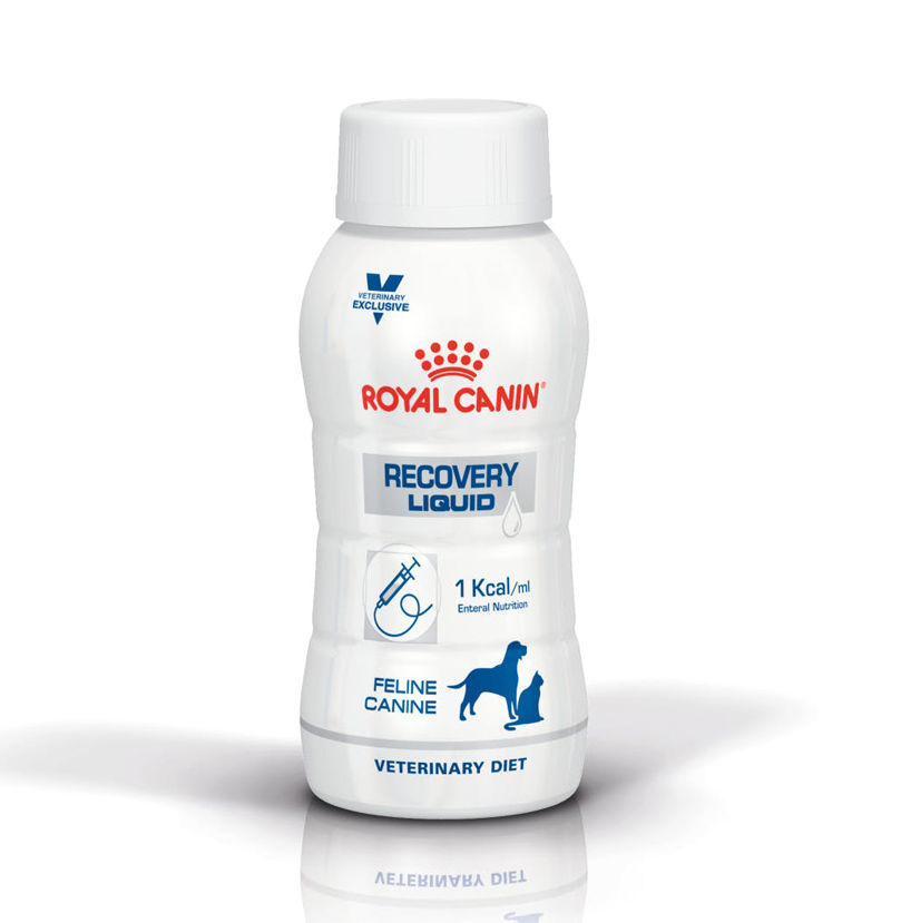 Halaly All You Need ROYAL CANIN Recovery Liquid (Dog & Cat)