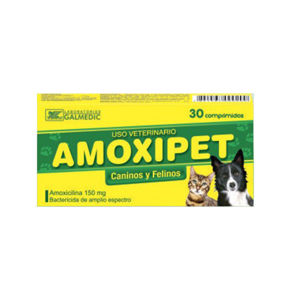 Picture of AMOXIPET
