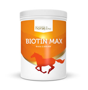 Picture of BIOTIN MAX