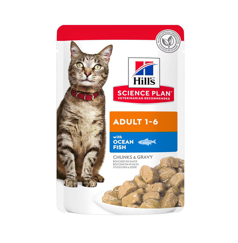 Hills prescription wet cat deals food