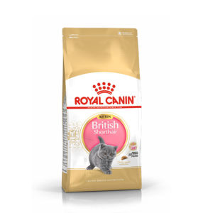 Picture of Royal canin kitten british 