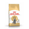 Picture of Royal Canin british Adult