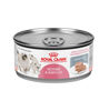 Picture of Royal Canin Feline Health Nutrition Mother & Babycat Mousse