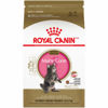 Picture of Royal Canin Feline Breed Nutrition Maine Coon Kitten