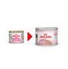 Picture of Royal Canin Feline Health Nutrition Mother & Babycat Mousse