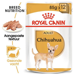 Picture of Royal Canin Breed Health Nutrition Chihuahua Adult - Wet Food