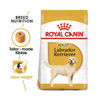 Picture of Royal Canin Breed Health Nutrition Labrador Retriever Adult 