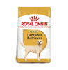 Picture of Royal Canin Breed Health Nutrition Labrador Retriever Adult 