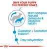 Picture of Royal Canin Size Health Nutrition Maxi Starter