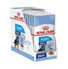 Picture of Royal Canin Maxi Puppy (Wet Food )
