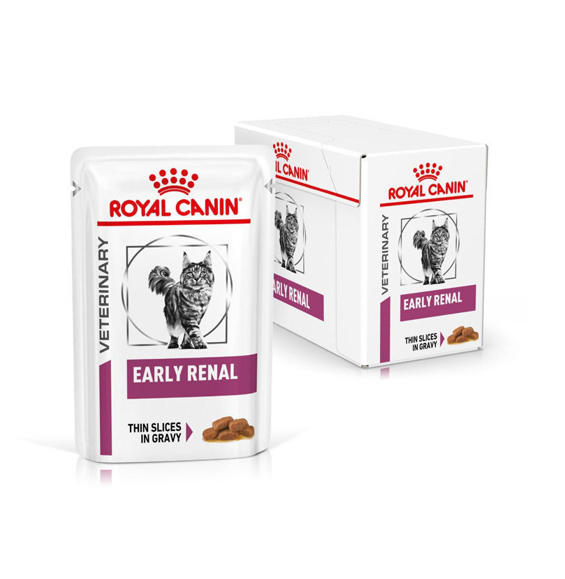 Royal canin shop renal wet food