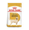 Picture of Royal Canin Labrador Retriever Adult