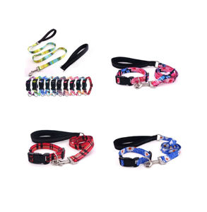 Picture of Colorful Leash Kit