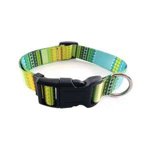 Picture of Colorful Leash Kit Medium (Colors)