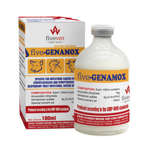 Picture of FIVE-GENAMOX 