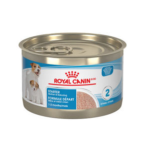 Picture of Royal Canin Canine Health Nutrition Starter Mousse