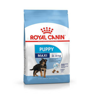 Picture of ROYAL CANIN Maxi Puppy - 10KG