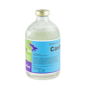 Picture of castralgin