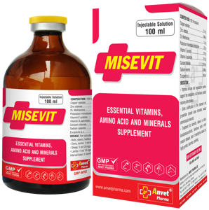 Picture of MISEVITMulti-Vitamin - 100ML