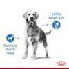 Picture of MAXI LIGHT WEIGHT CARE 12KG