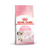 صورة KITTEN  400G