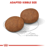 صورة MEDIUM ADULT 7+ 4KG