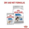 Picture of MEDIUM LIGHT WEIGHT CARE 3KG