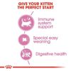 صورة MOTHER & BABYCAT 4KG